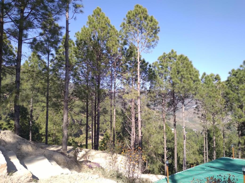 Nature Villaas Basa Homestay Pauri Esterno foto