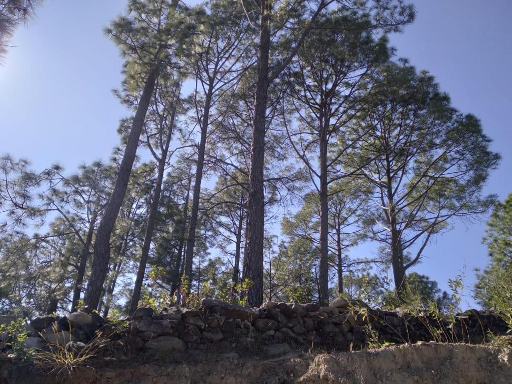 Nature Villaas Basa Homestay Pauri Esterno foto