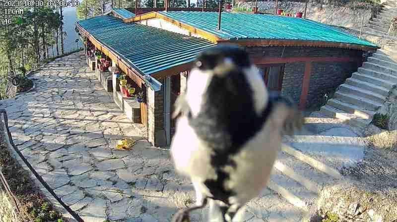 Nature Villaas Basa Homestay Pauri Esterno foto